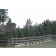 Privacy Screen ©photo ArborTanics Inc.