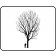 PLAINS STRAIGHT COTTONWOOD ©outline by ArborTanics Inc.