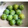 By No machine-readable author provided. <a href="//commons.wikimedia.org/wiki/User:Ranveig" title="User:Ranveig">Ranveig</a> assumed (based on copyright claims). - No machine-readable source provided. Own work assumed (based on copyright claims)., Public 