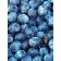 Prune Plum-Generic
