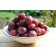 Japanese Plum-Generic