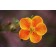 Adobe Stock image