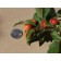 PRAIRIFIRE CRABAPPLE ©photo ArborTanics Inc.