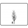 QUAKING ASPEN ©outline by ArborTanics inc.