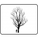 ROBUSTA COTTONWOOD ©outline by ArborTanics Inc.