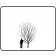 © 2016 Arbortanics, Inc. dba The Tree Farm. All rights reserved