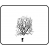 SKYLINE HONEYLOCUST ©outline by ArborTanics inc.