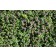 Adobe Stock Image