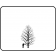 Tri Color Beech ©outline by Arbortanics inc.
